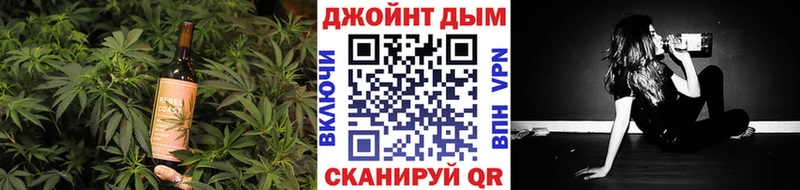 Купить  Анива  Canna-Cookies конопля 