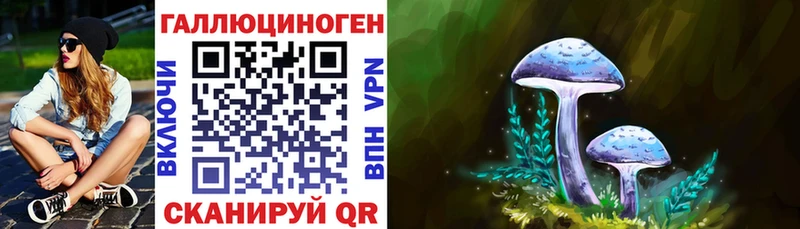 Купить закладки  Анива  Псилоцибиновые грибы MAGIC MUSHROOMS 